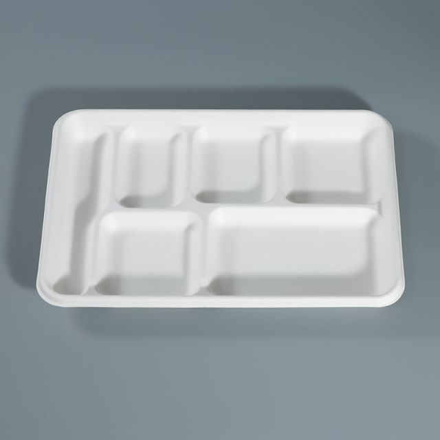6-Compartment Tray