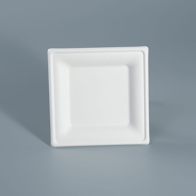 Square Plate 16x16cm