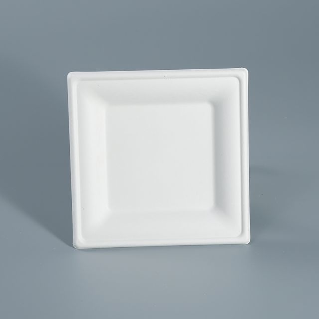 Square Plate 20x20cm