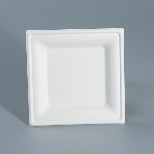 Square Plate 26x26cm