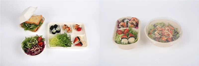 Disposable Biodegradable Paper Tableware