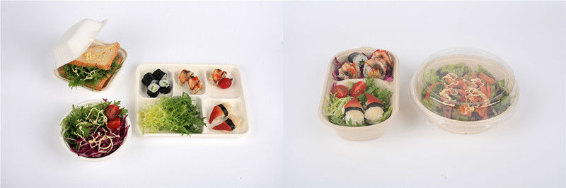 Disposable Biodegradable Paper Tableware