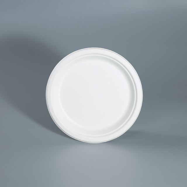 9"Round Plate