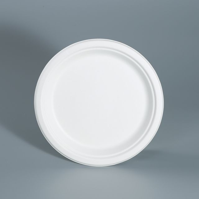 10"Round Plate