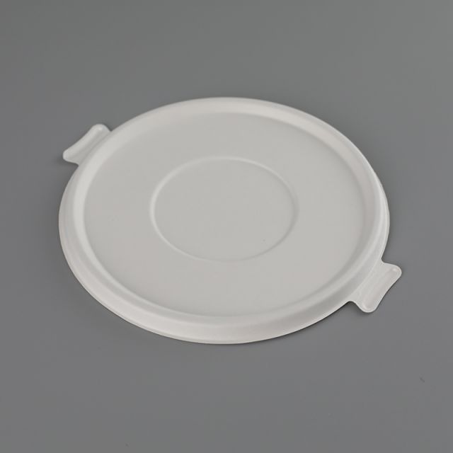 bagasse lid