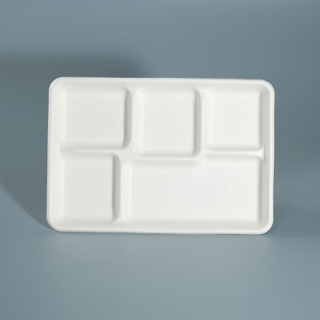 5-Compartment Tray big